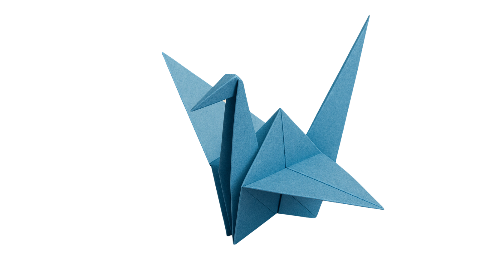 Paper Cran 2.png